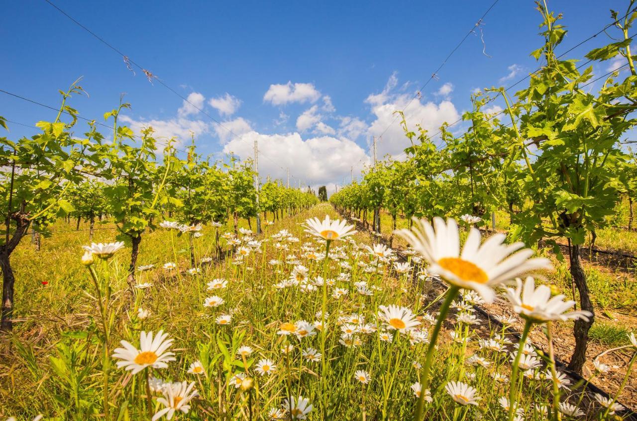 Valpolicella Homes Recioto Apartment SantʼAmbrogio di Valpolicella Екстериор снимка