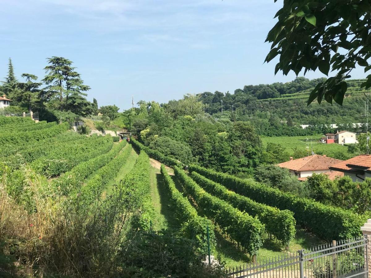 Valpolicella Homes Recioto Apartment SantʼAmbrogio di Valpolicella Екстериор снимка