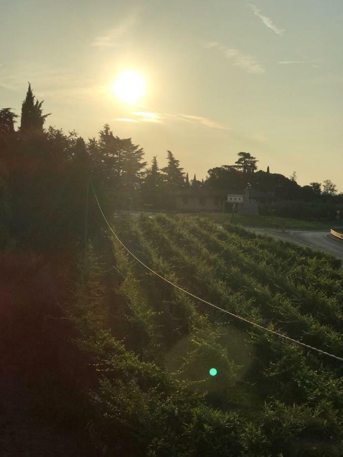 Valpolicella Homes Recioto Apartment SantʼAmbrogio di Valpolicella Екстериор снимка